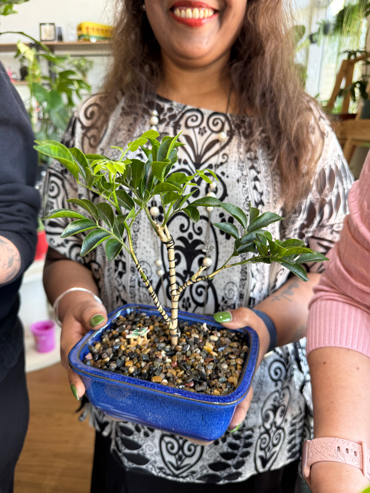 Beginner Bonsai Workshop