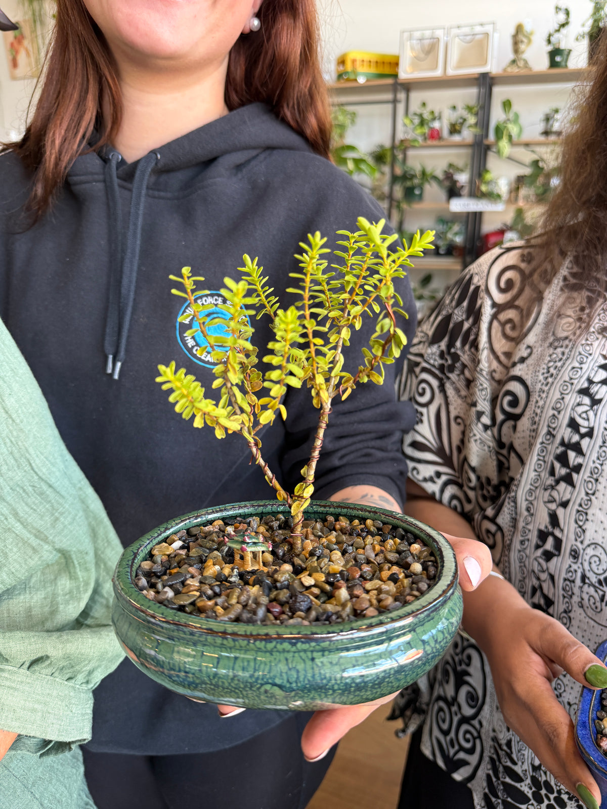 Beginner Bonsai Workshop