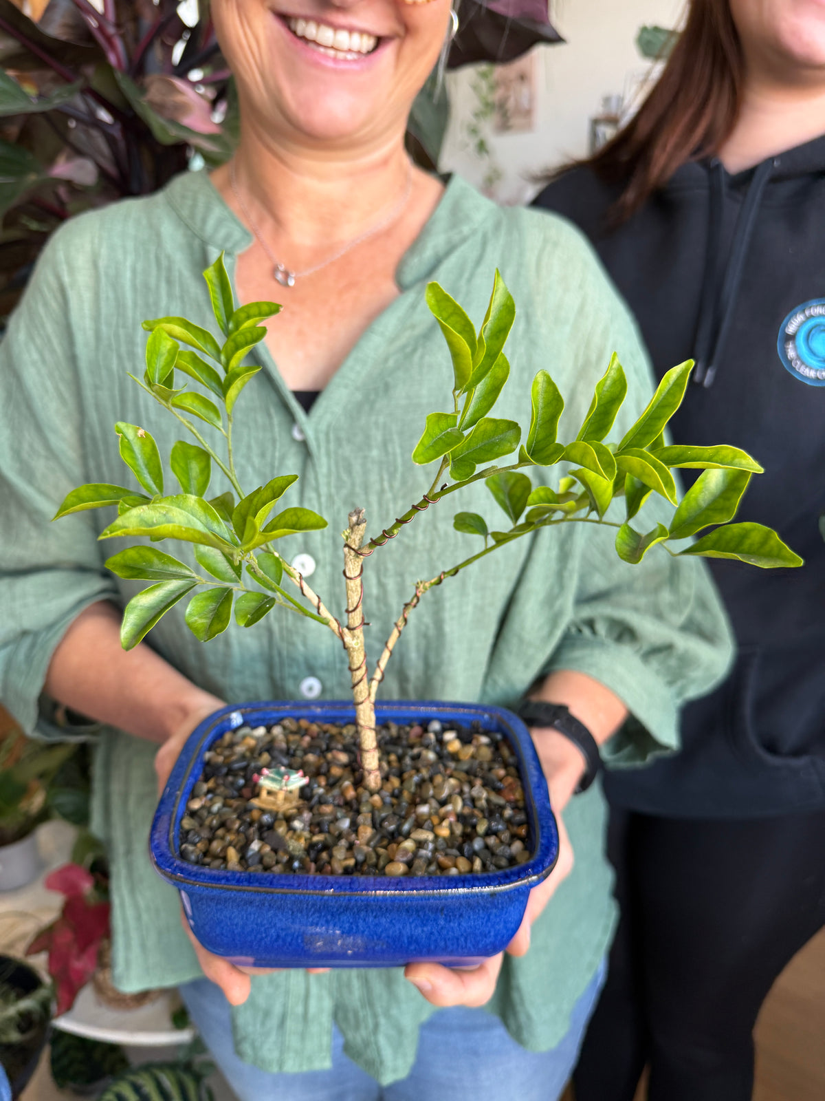 Beginner Bonsai Workshop