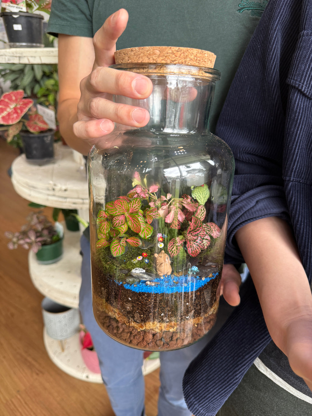 Indoor Plant Terrarium - Random (Pick-Up)