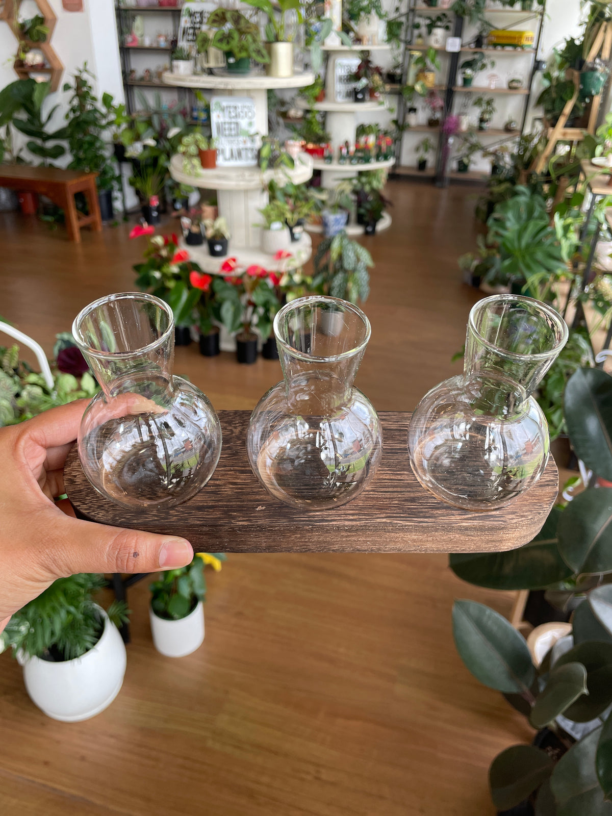 propogating-glass-vases-3-bulbs