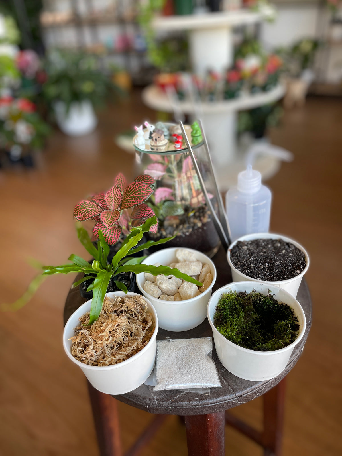 🪴 Terrarium Kit – Create Your Own Miniature Garden