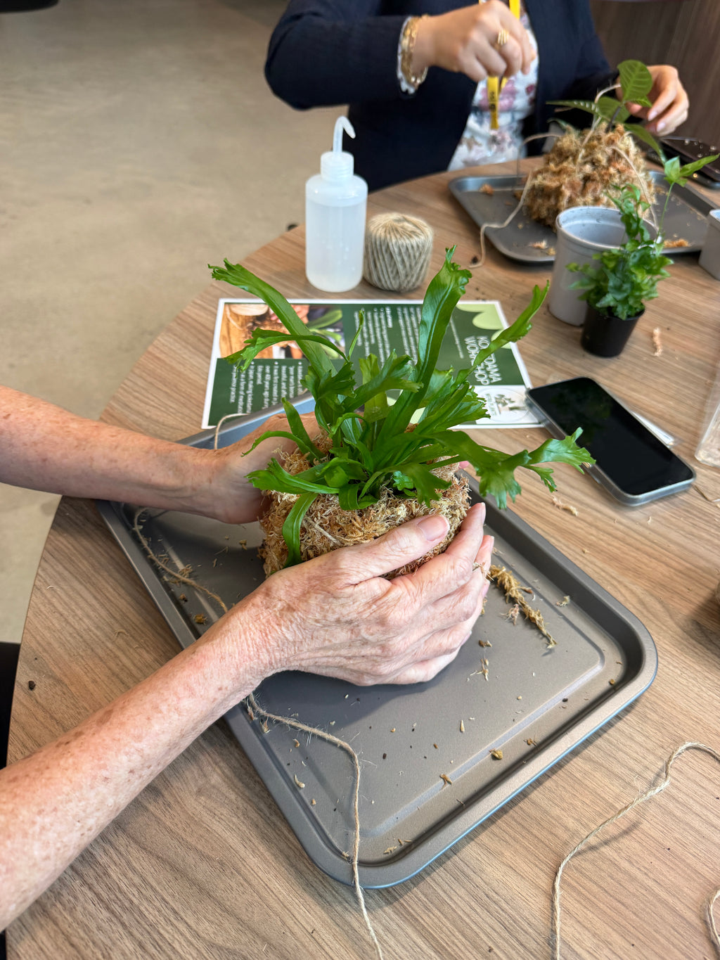 Kokedama Workshop – Create Your Own Moss Ball Magic! 🌱