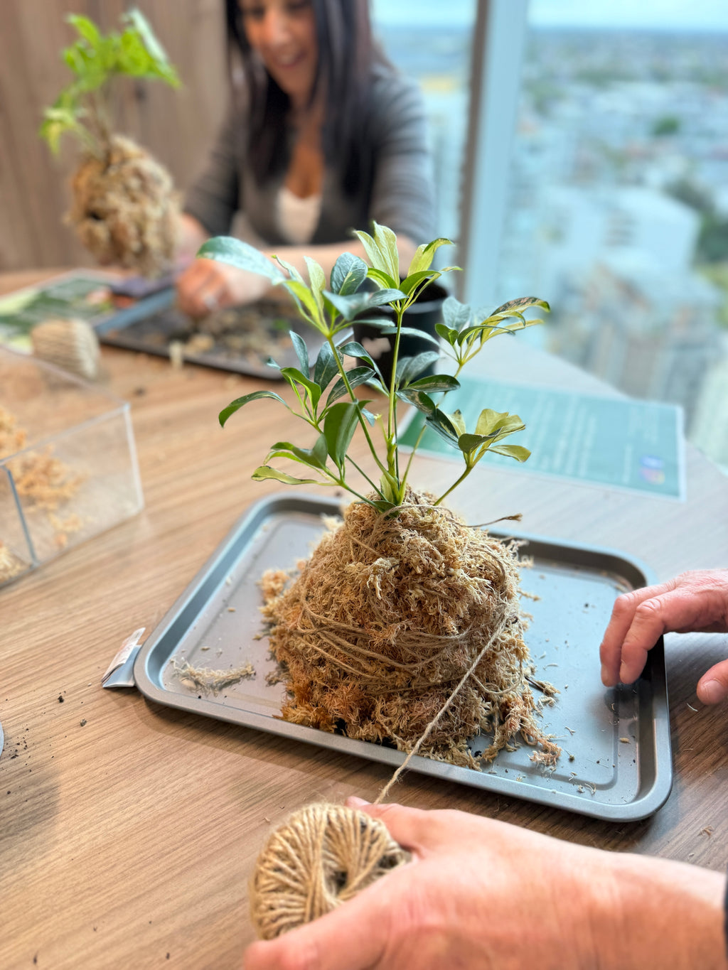 Kokedama Workshop – Create Your Own Moss Ball Magic! 🌱