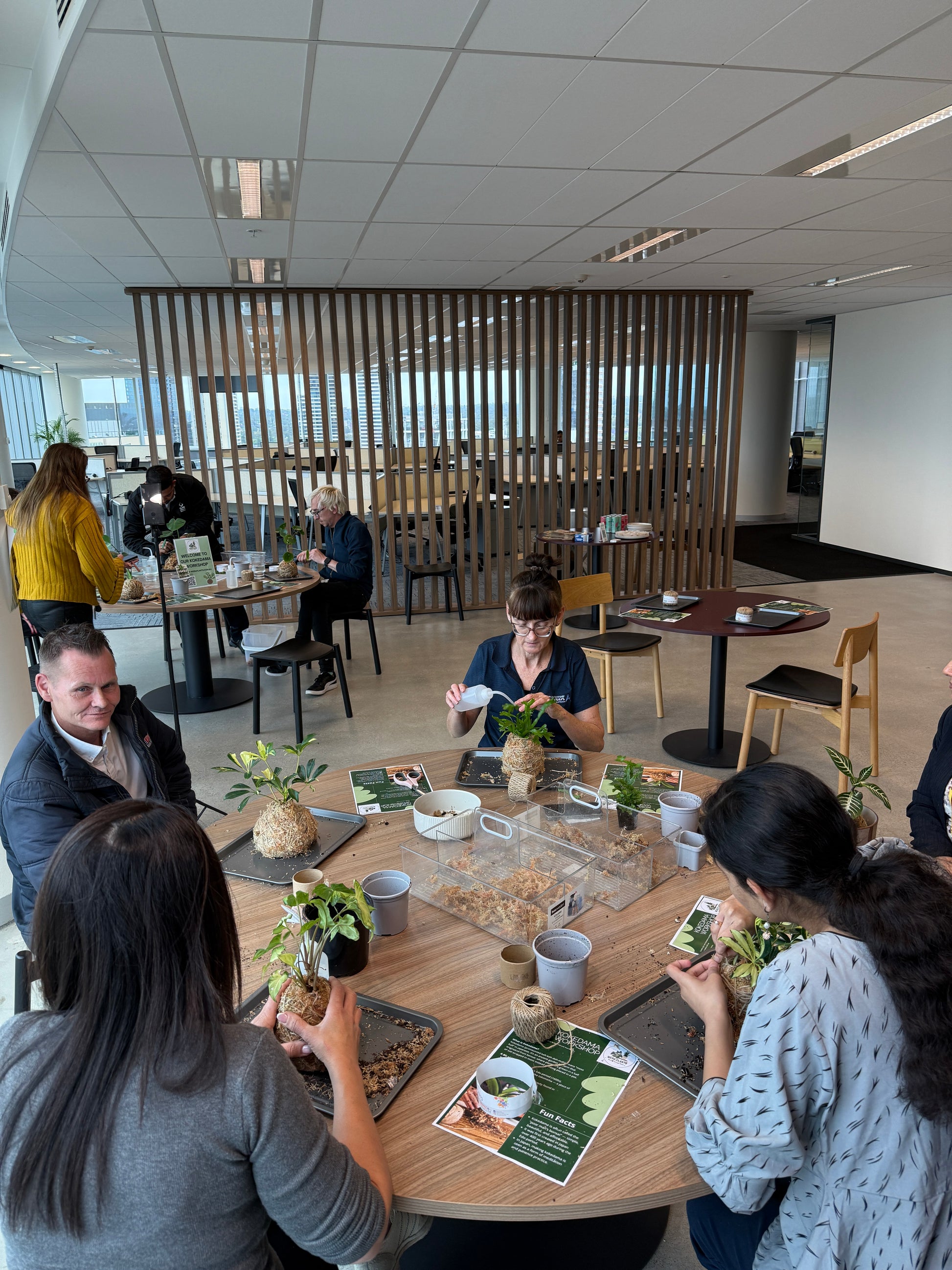 Kokedama Workshop – Create Your Own Moss Ball Magic! 🌱