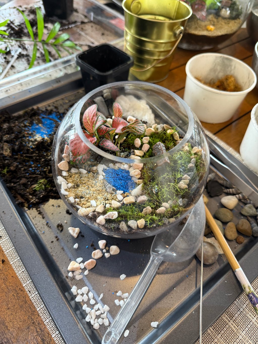 Kids School Holiday Terrarium Building and Pot Painting Class