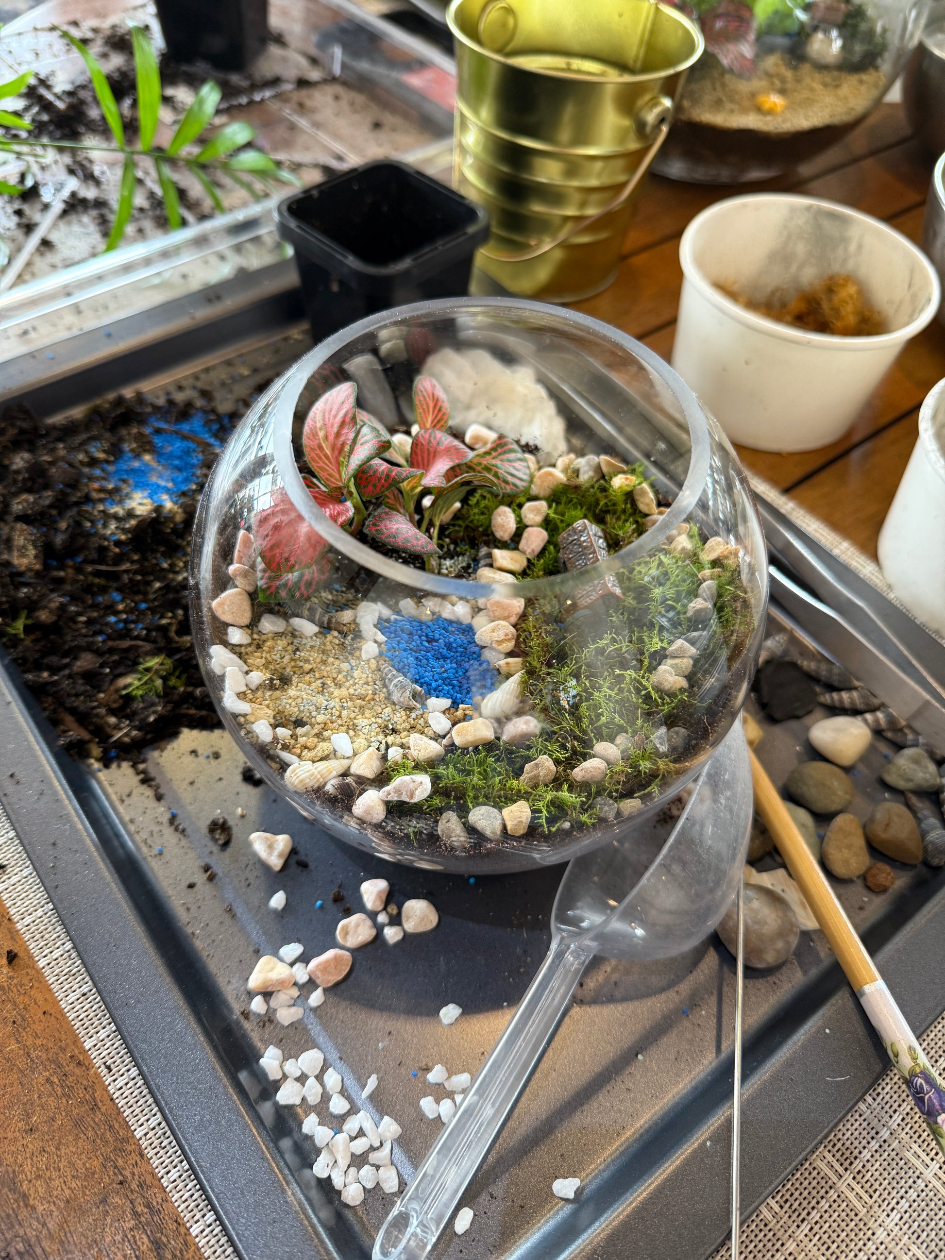 Kids School Holiday Terrarium Building and Pot Painting Class