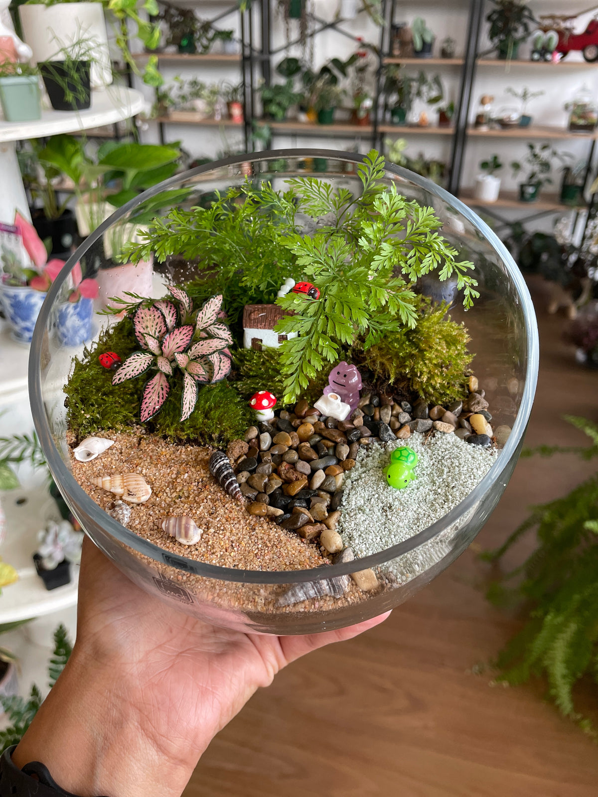 Tropical terrarium workshop in Sydney with participants creating mini indoor gardens