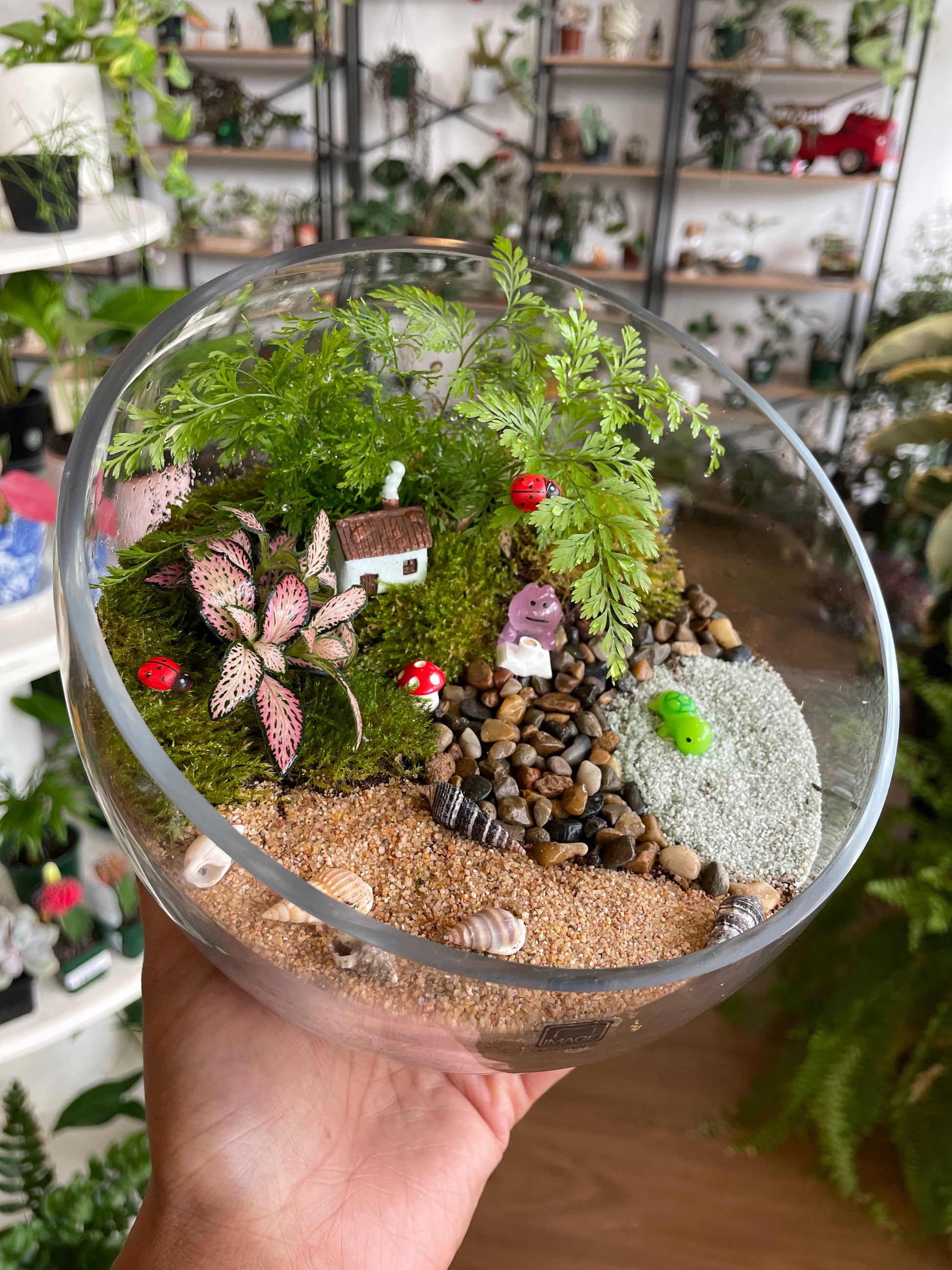 saturday-terrarium-workshop-near-me