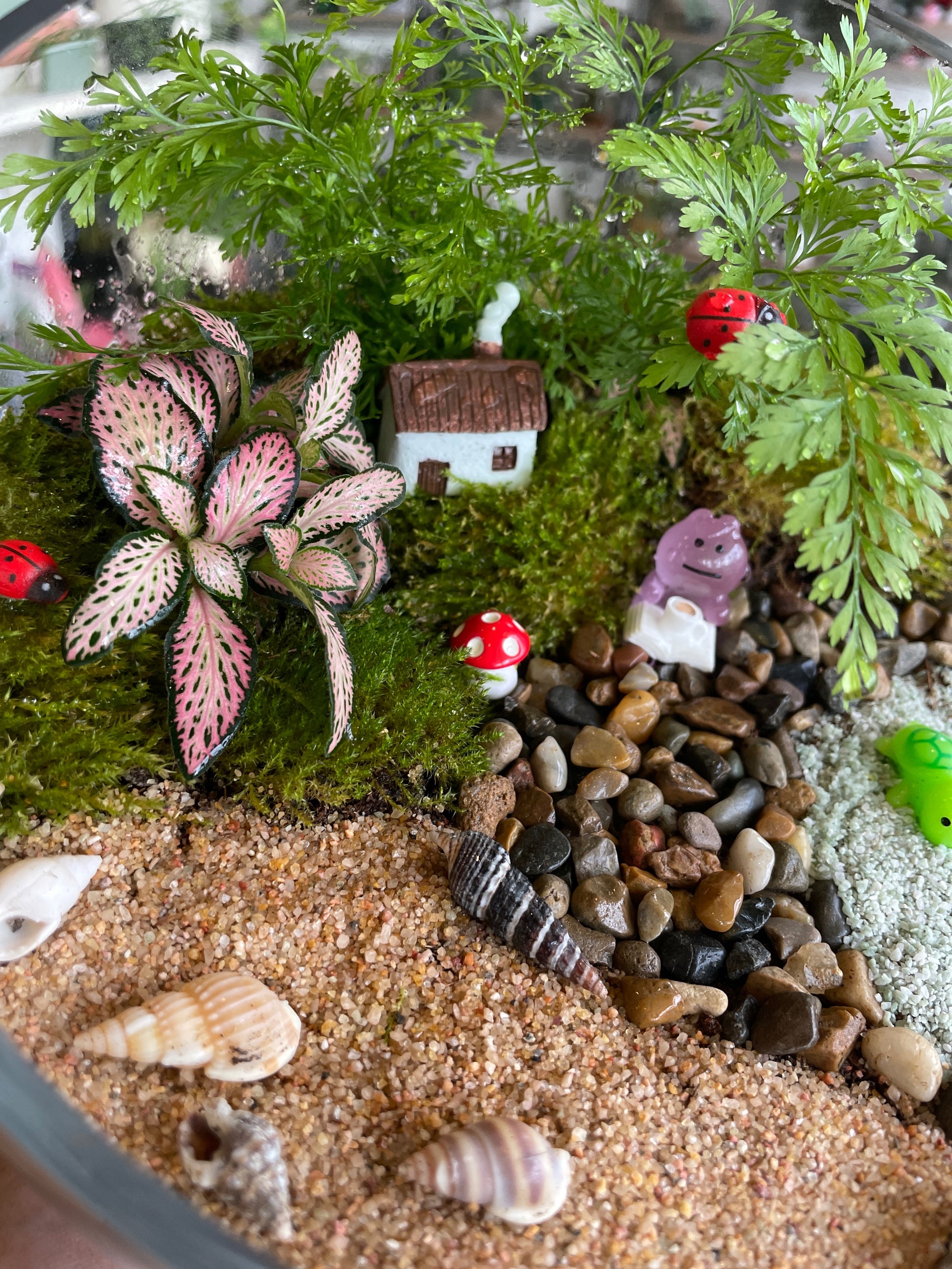 saturday-terrarium-workshop-near-me