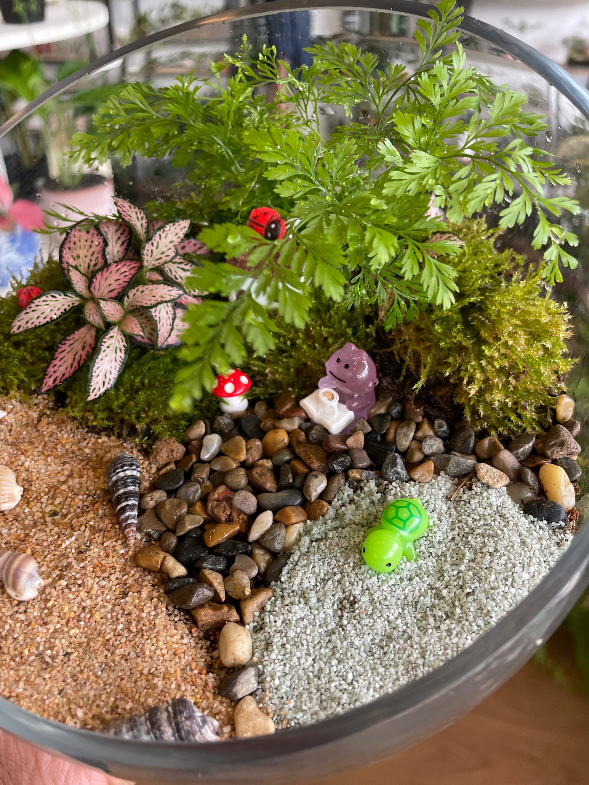 saturday-terrarium-workshop-near-me