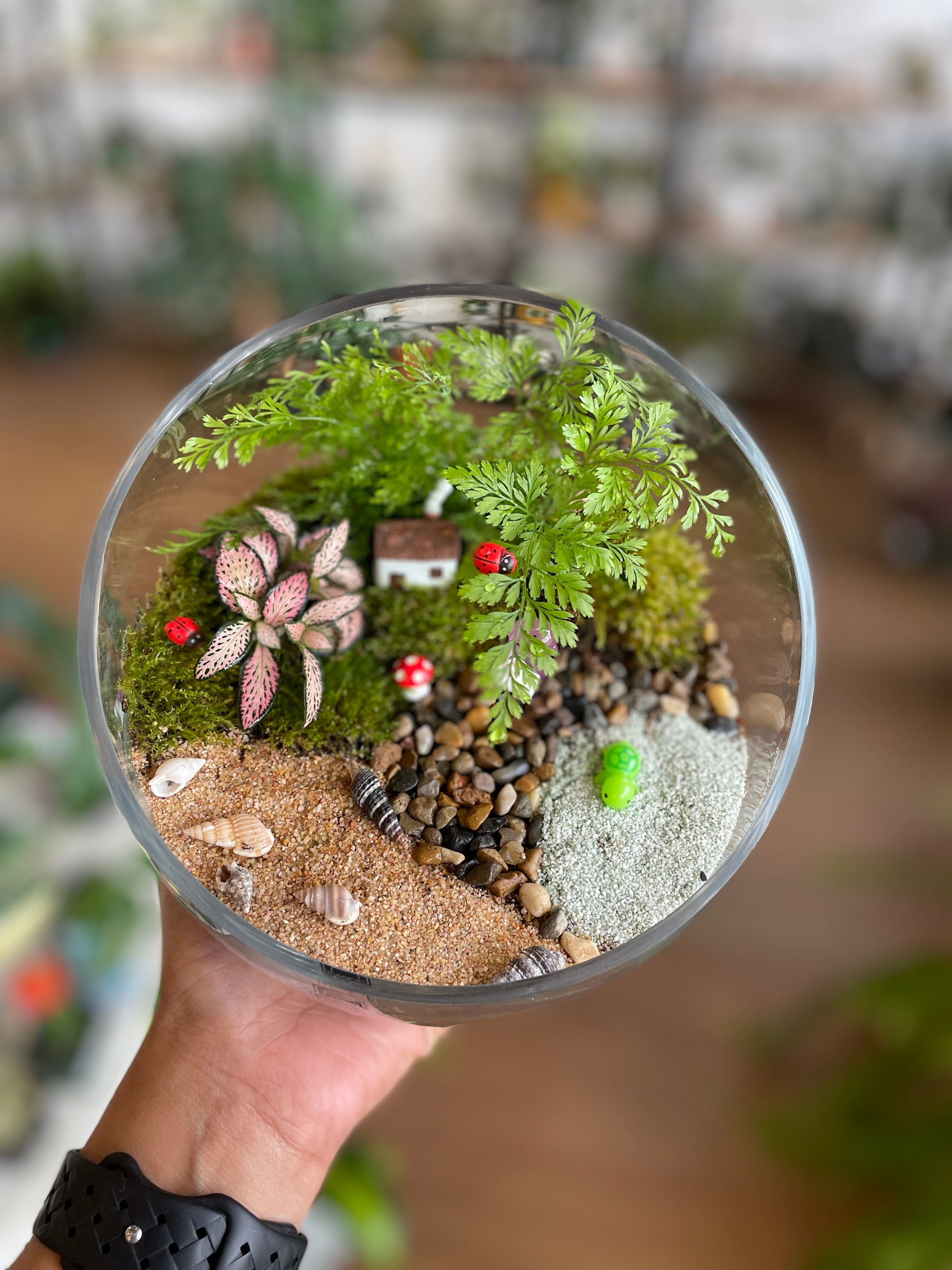 philodendron-verrucosum