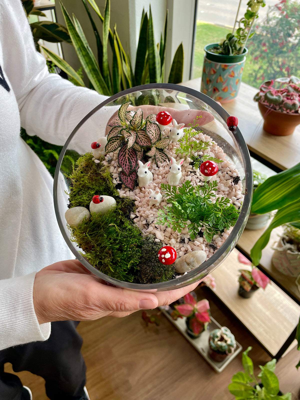 saturday-terrarium-workshop-near-me