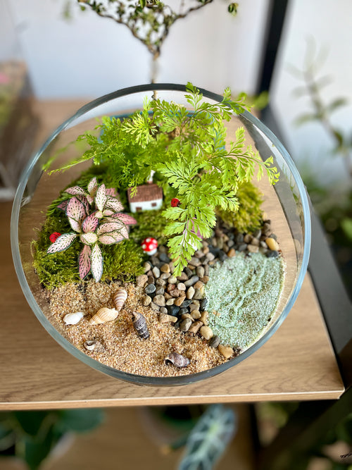 indoor plants sydney Indoor Plant Terrarium - Random (Pick-Up)