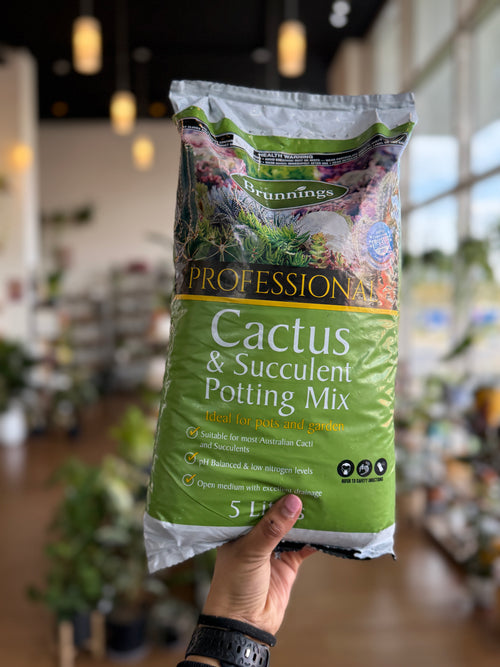 potting mix for succulents bunnings Brunnings Cactus and Succulent Mix – Fast Draining Potting Soil – Wera Plants