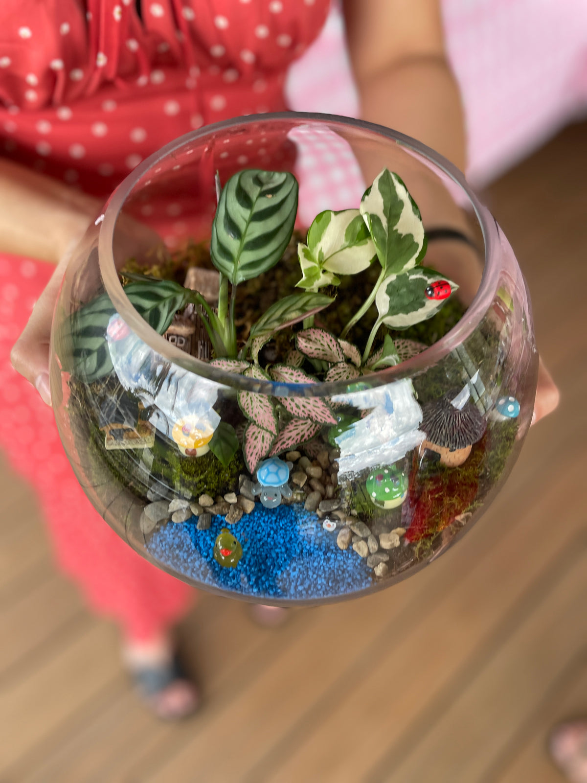 mothers-day-high-tea-terrarium-workshop-in-sydney