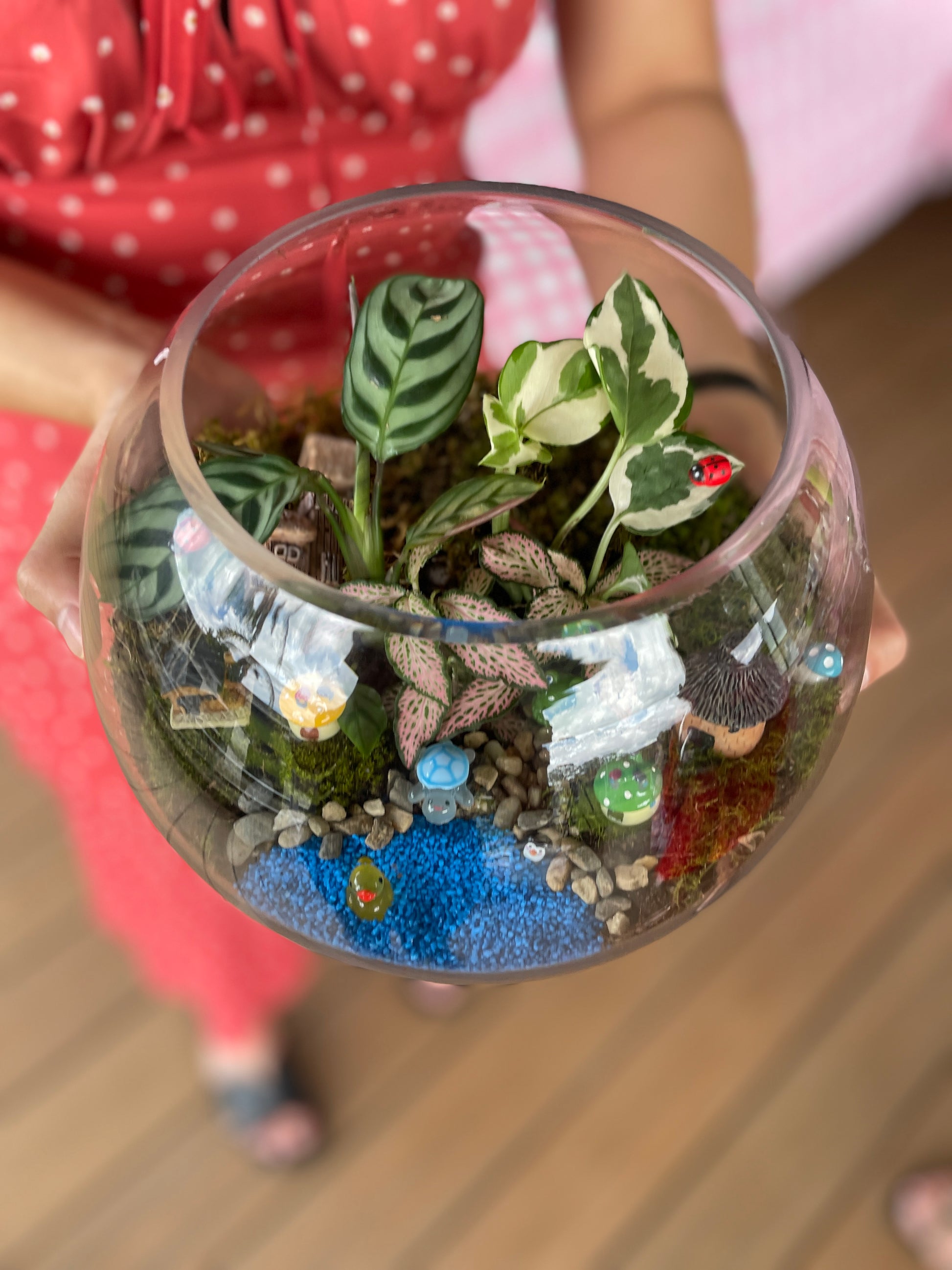 mothers-day-high-tea-terrarium-workshop-in-sydney