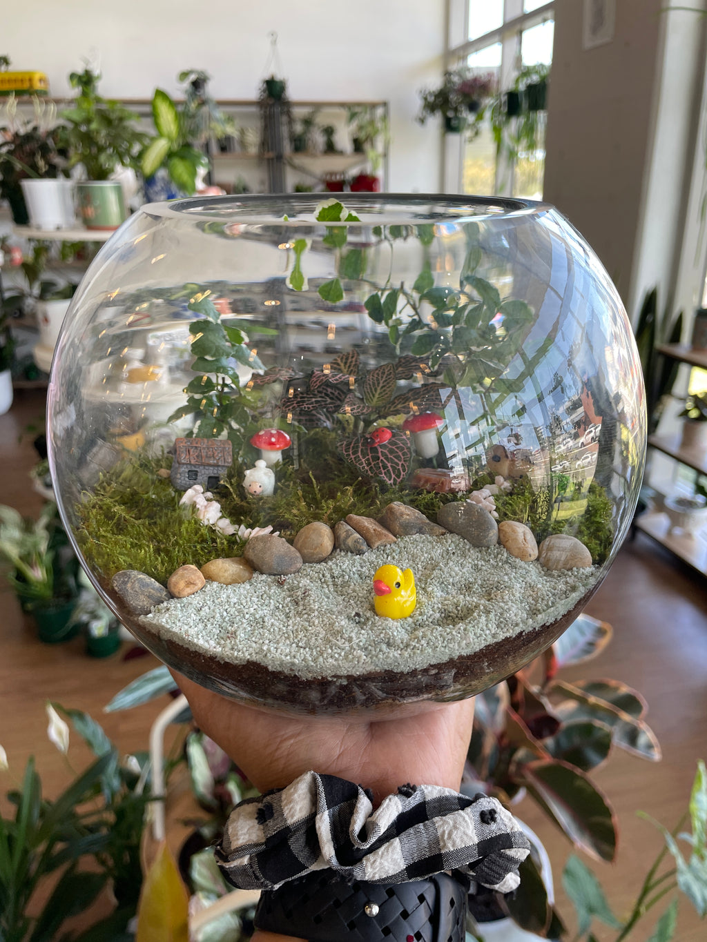 personalized-terrarium-workshops