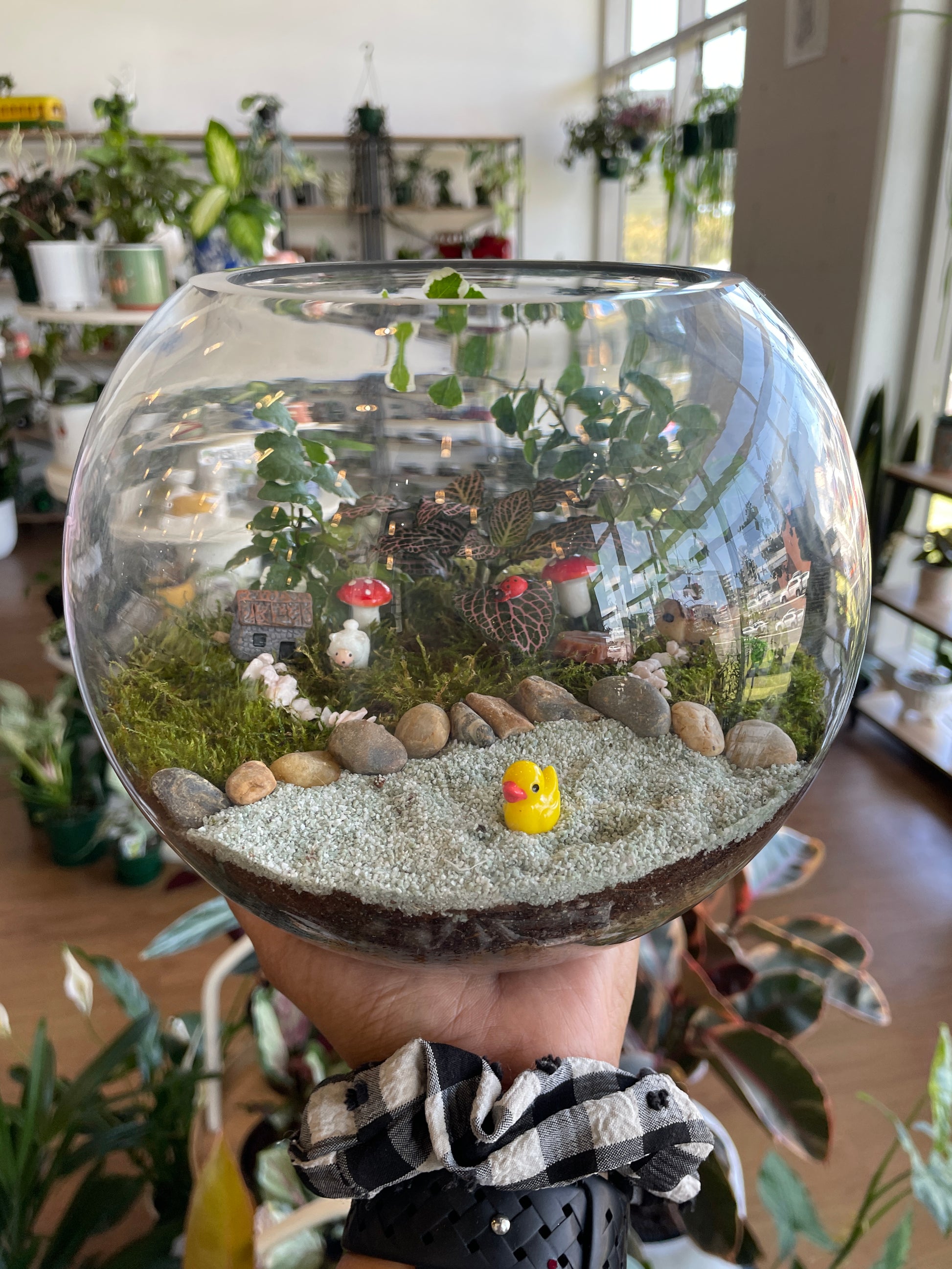 personalized-terrarium-workshops