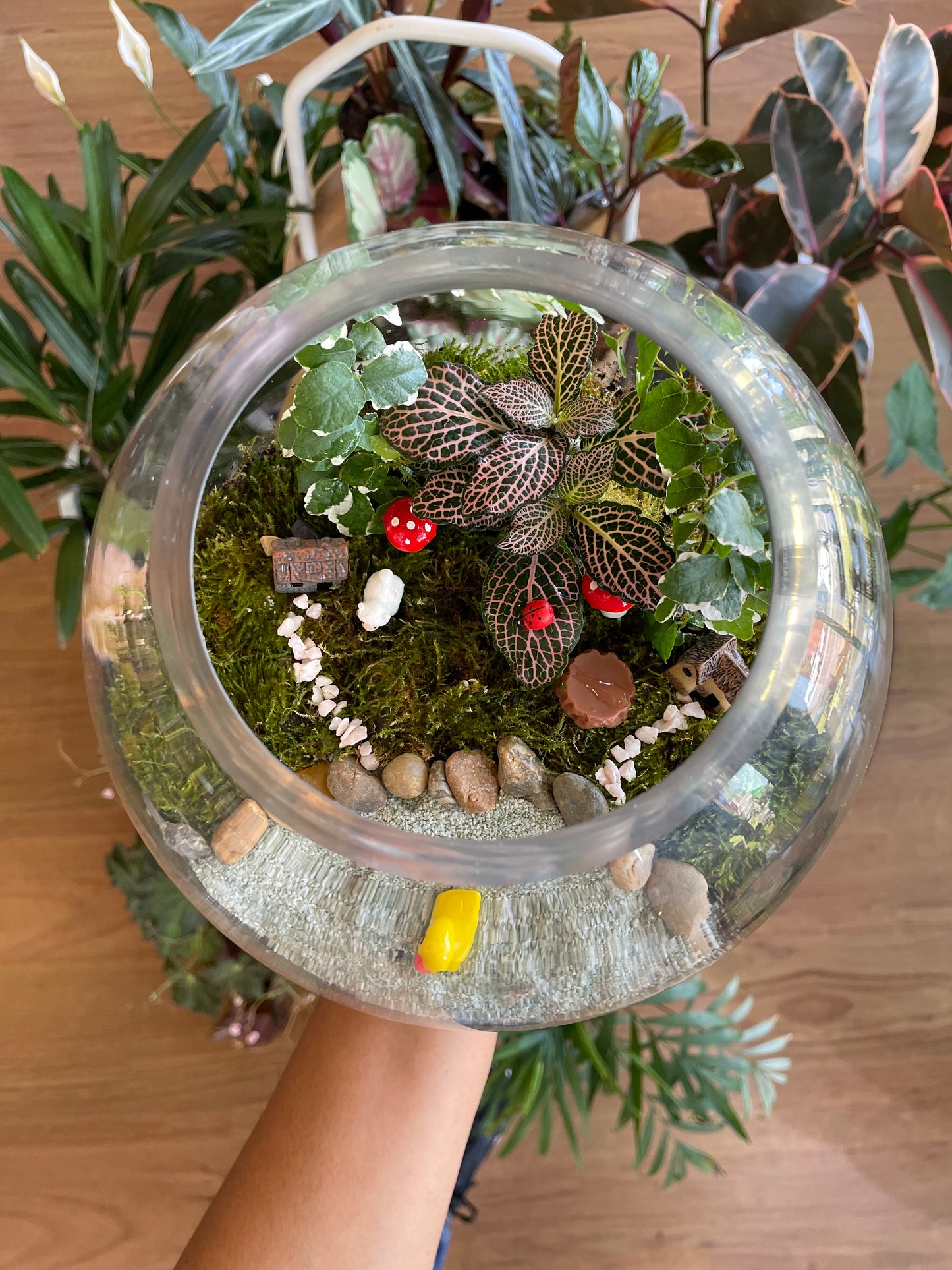 personalized-terrarium-workshops