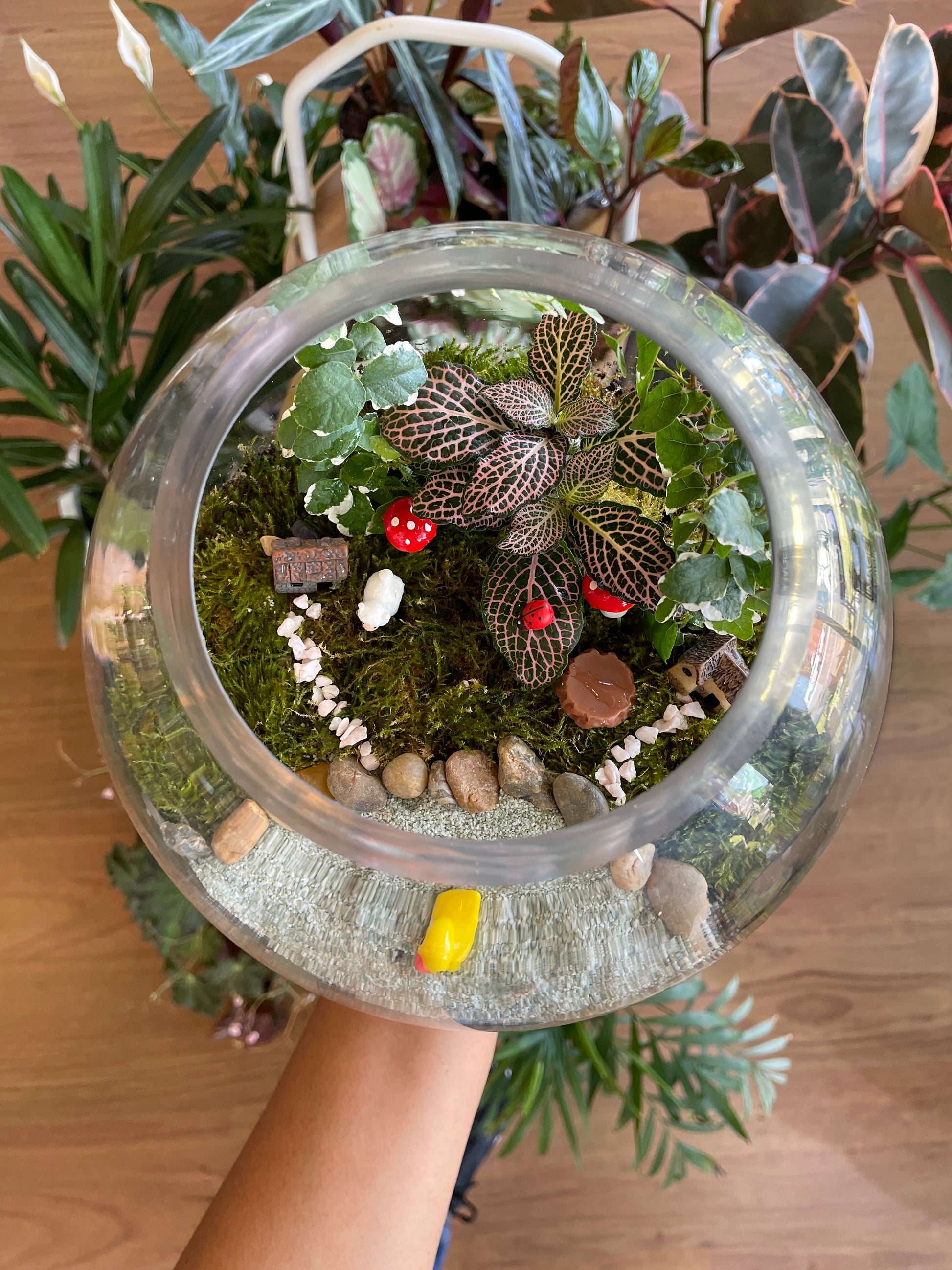 personalized-terrarium-workshops
