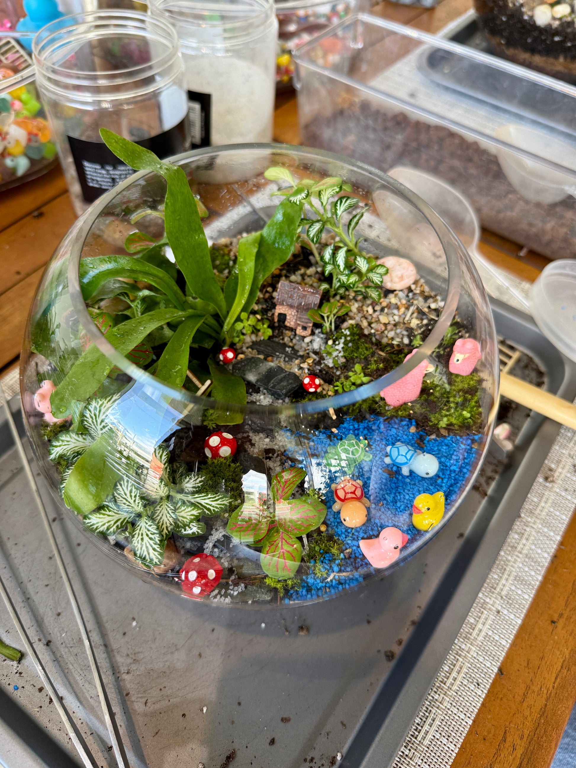 Tropical Terrarium Workshop- Canberra (Belconnen)