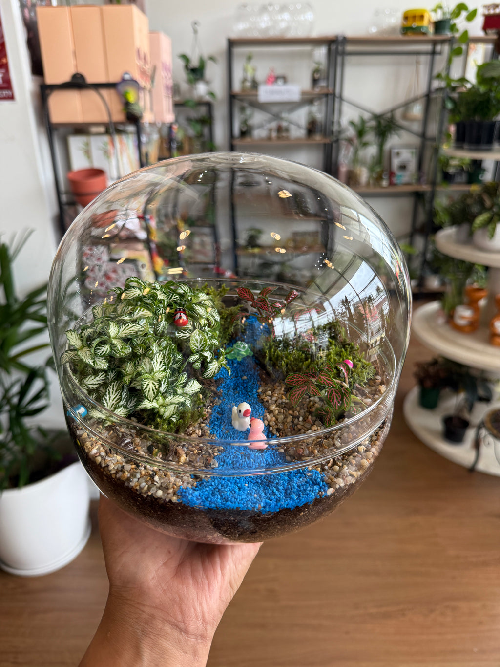 Easter 'Terrarium & Kokedama' Workshop in Sydney 🐰🦆