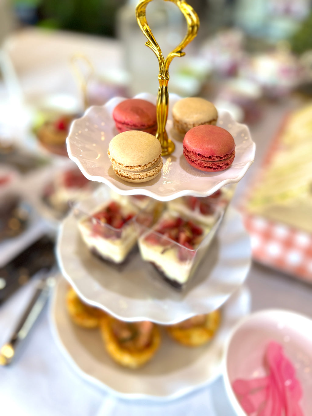 High Tea & Terrarium Workshop