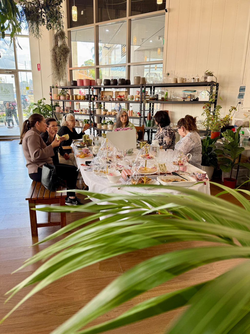 High Tea & Terrarium Workshop