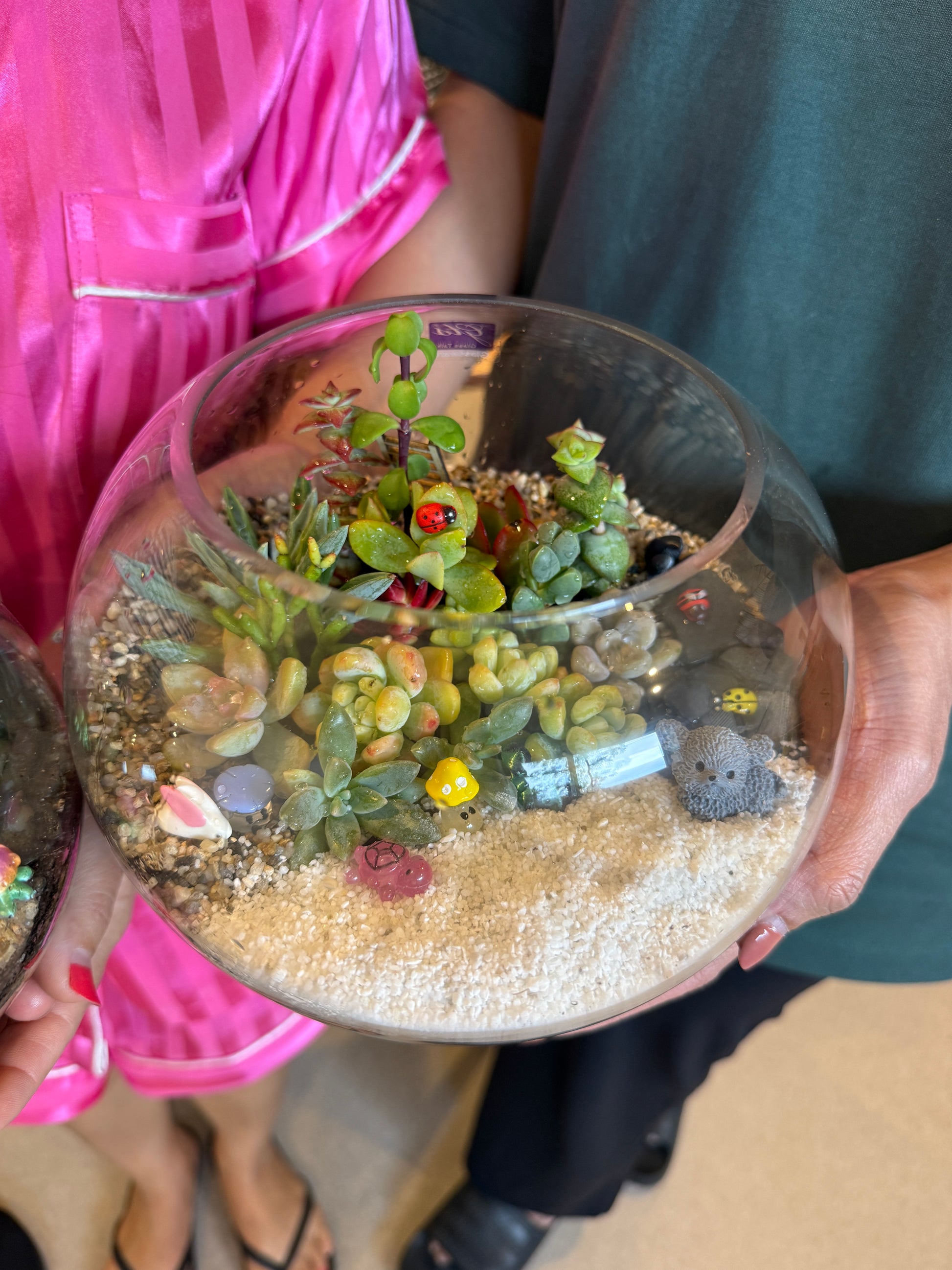 Kids School Holiday Terrarium Building and Pot Painting Class