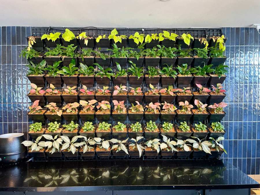 Make a Statement with a Green Wall