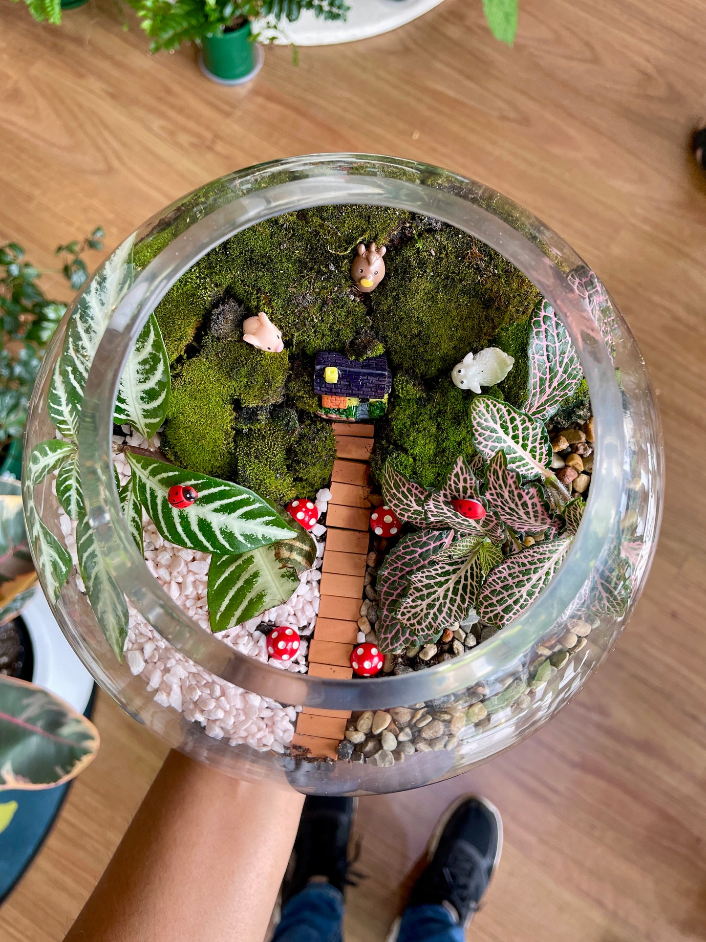 Kids Terrarium Workshop