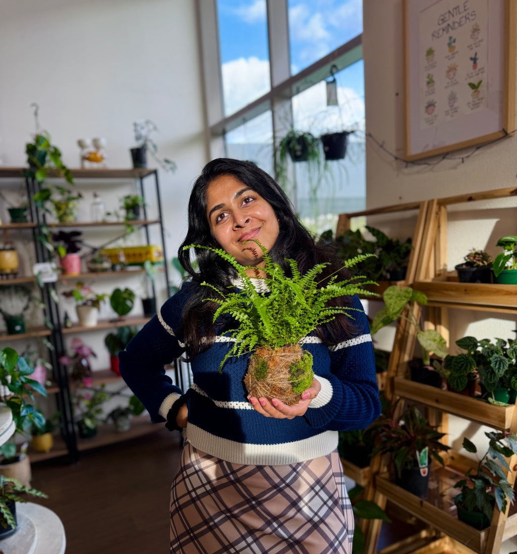 Kokedama Workshop – Create Your Own Moss Ball Magic! 🌱