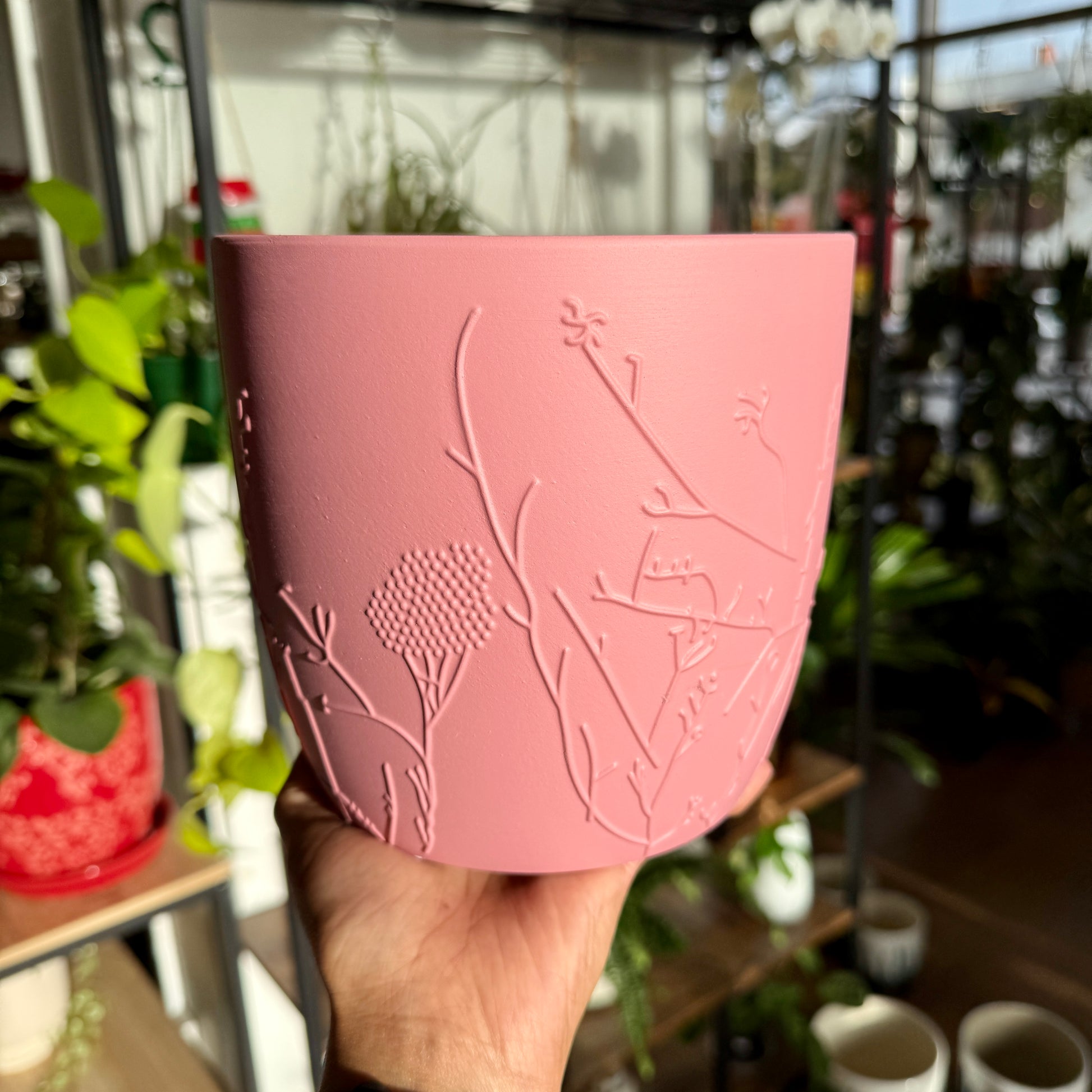 Matte pink indoor pot – modern planter for Sydney homes