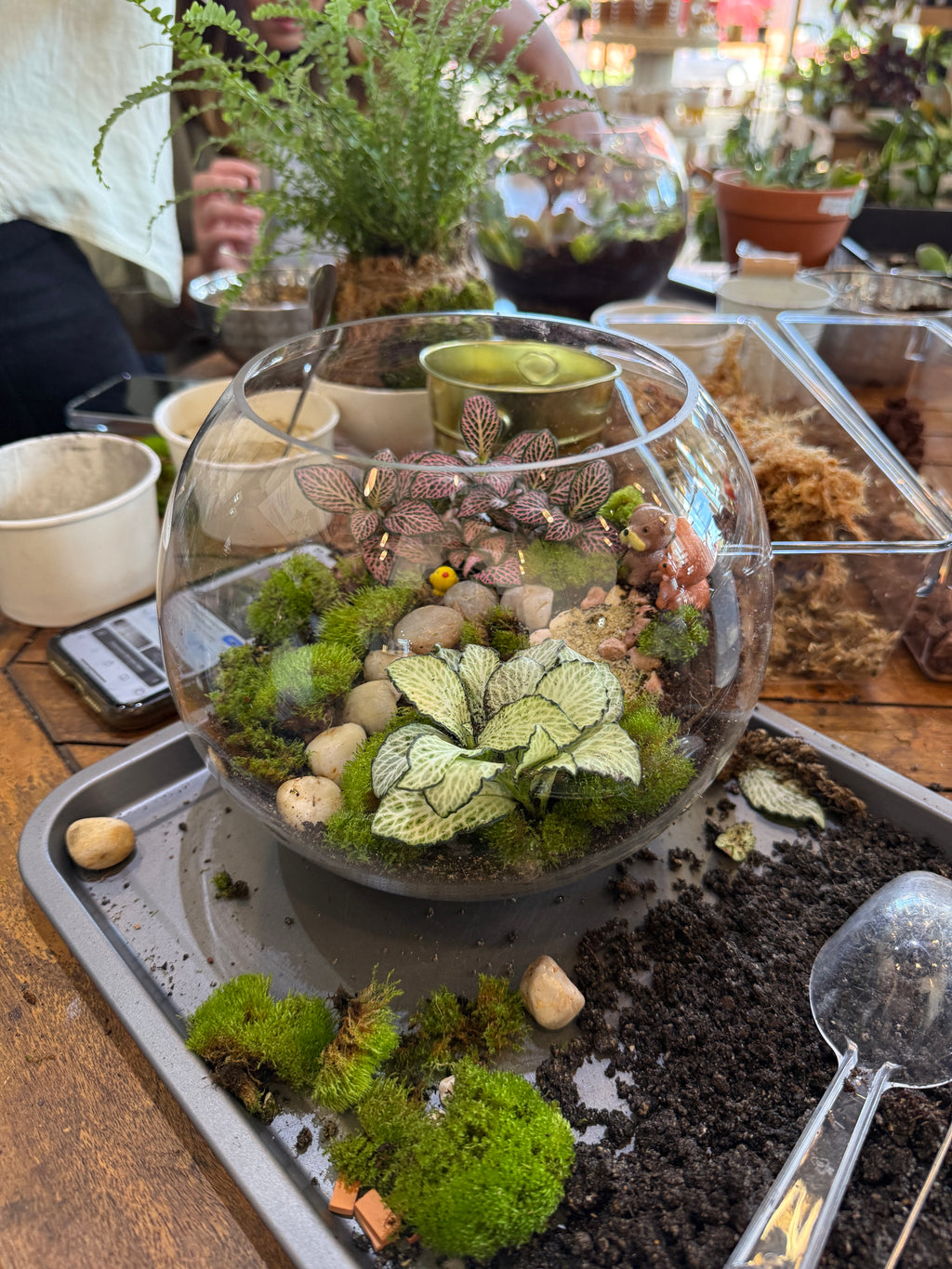 Kids School Holiday Terrarium Building and Pot Painting Class