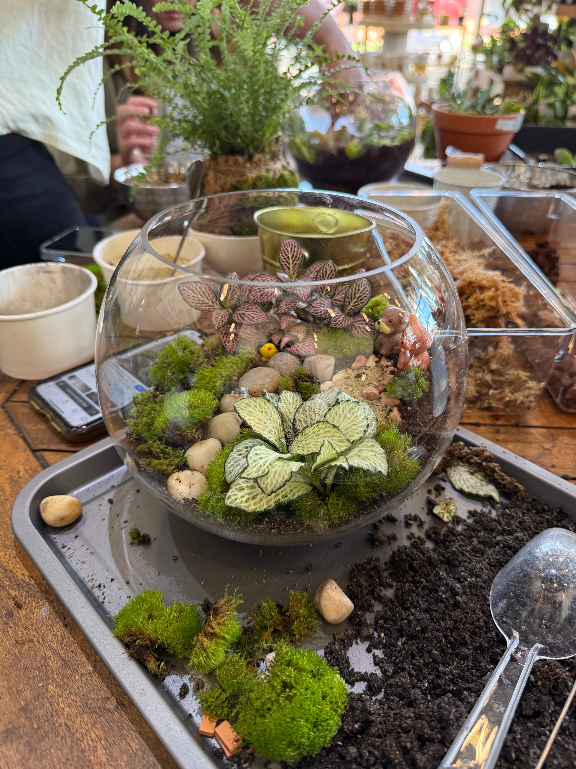 Kids School Holiday Terrarium Building and Pot Painting Class