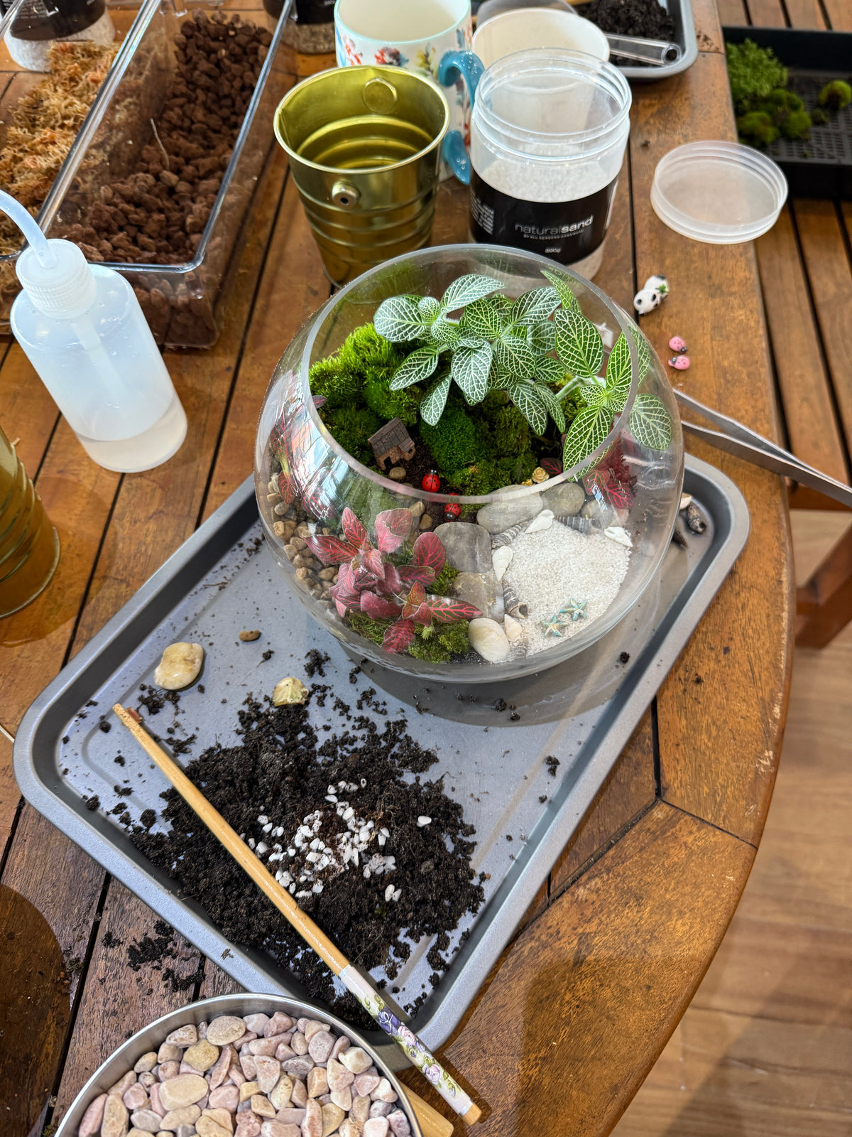 🌱 Kids Holiday Plant & Art Workshop – Wentworthville, Sydney