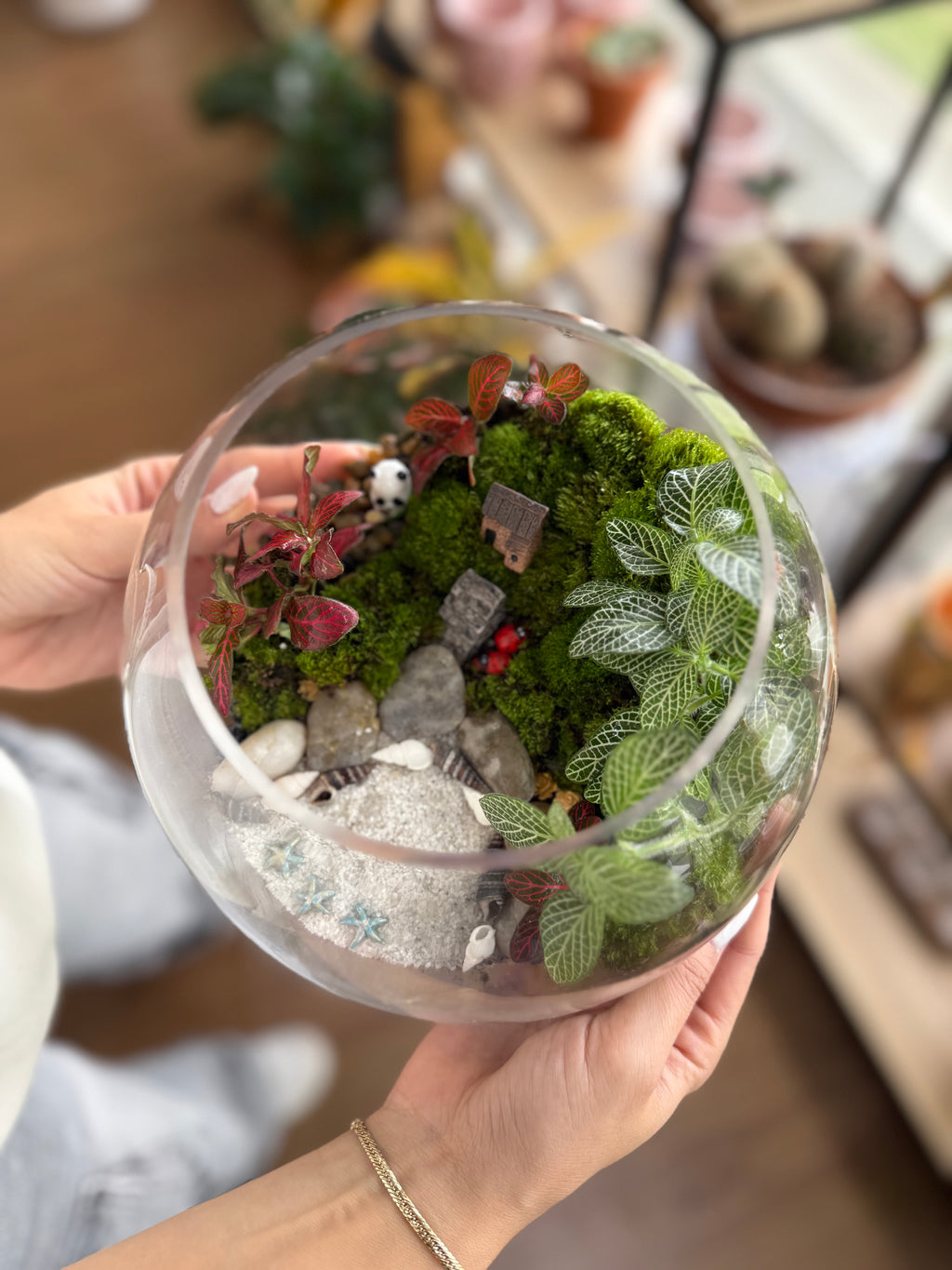 Tropical Indoor Terrarium Workshop