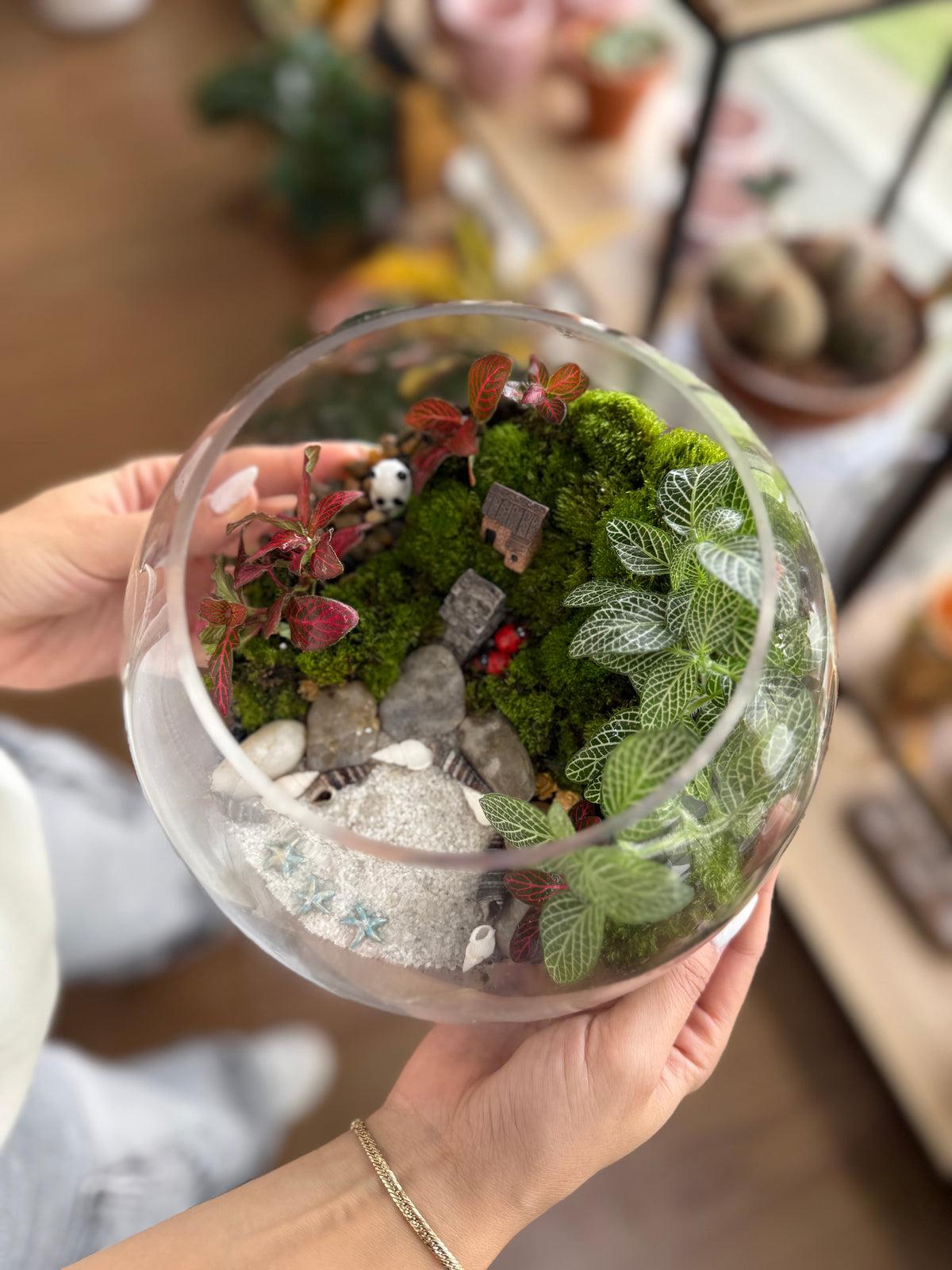 Tropical Indoor Terrarium Workshop