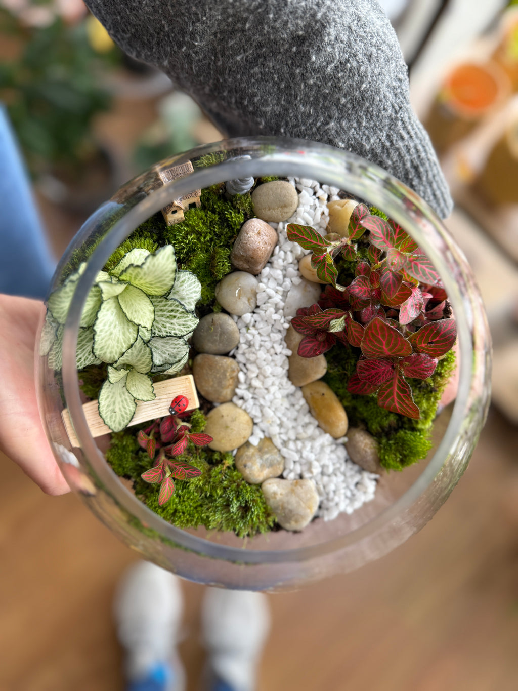 Tropical Indoor Terrarium Workshop