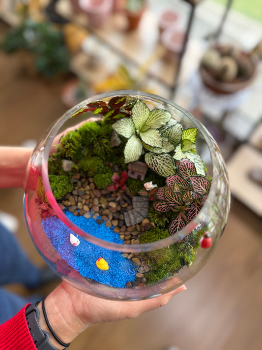 🪴 Terrarium Kit – Create Your Own Miniature Garden
