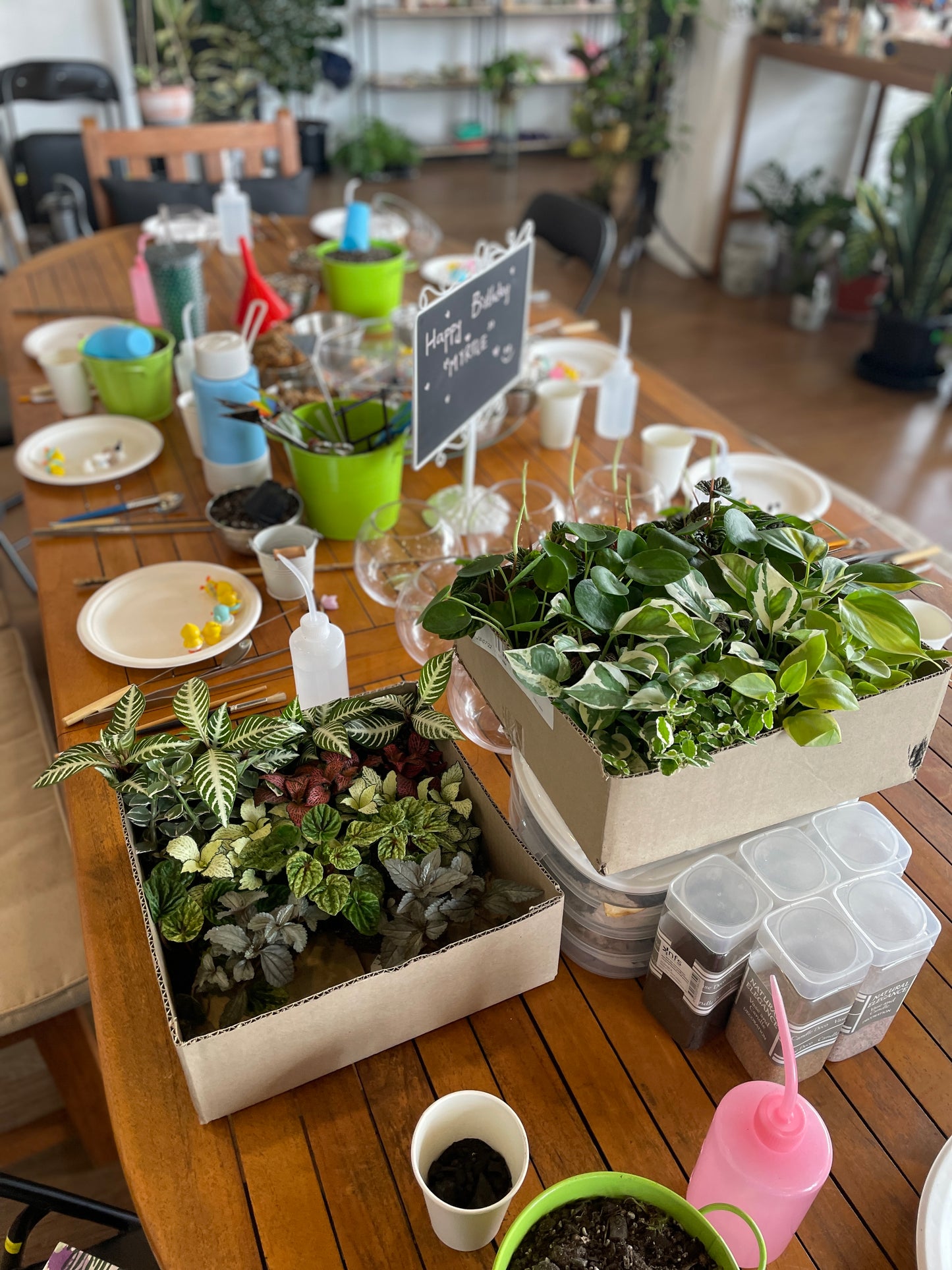 Kids Terrarium Workshop