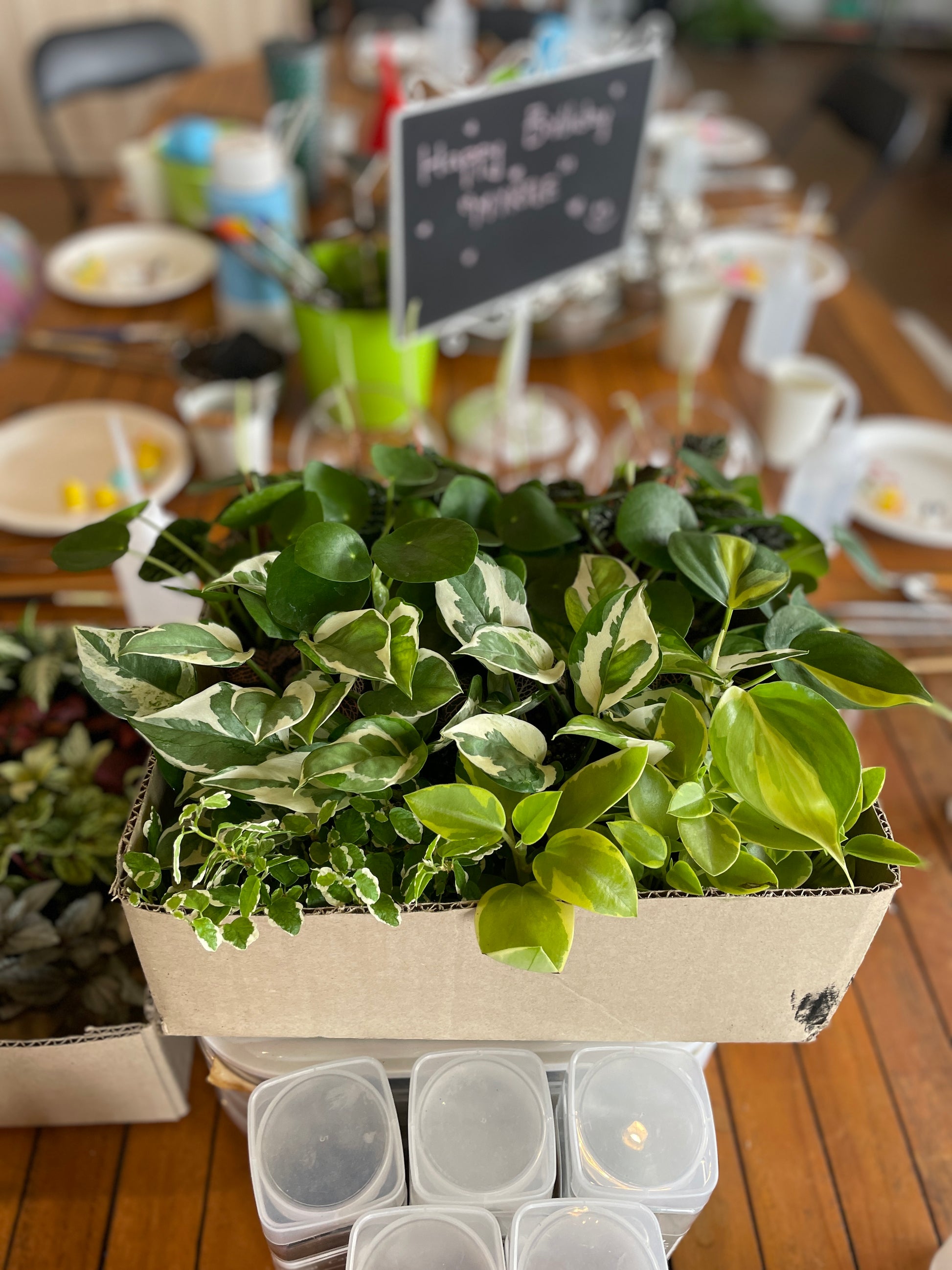kids-terrarium-workshop