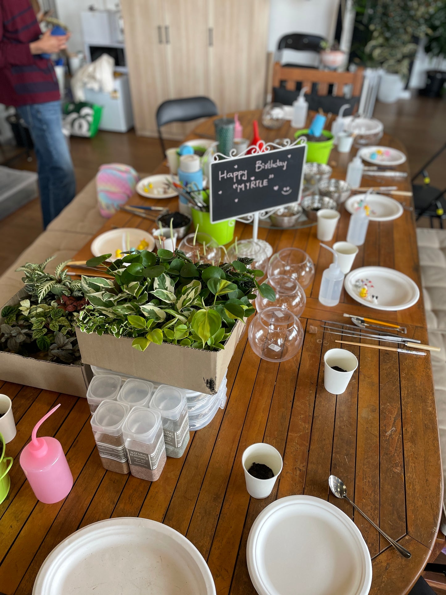 Kids Terrarium Workshop