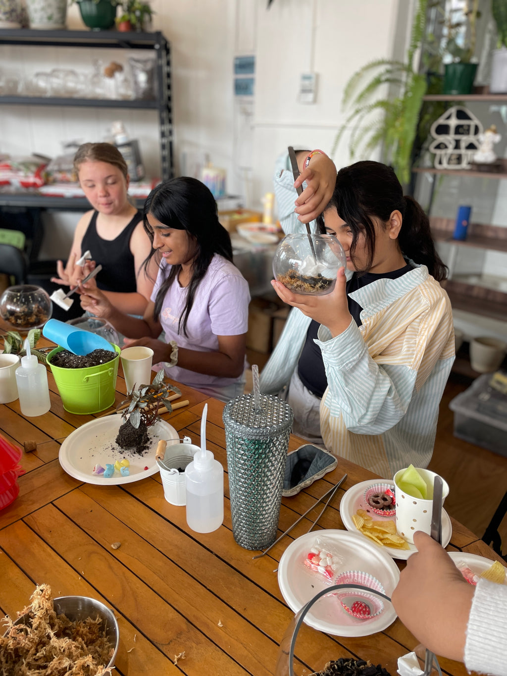 kids-terrarium-workshop