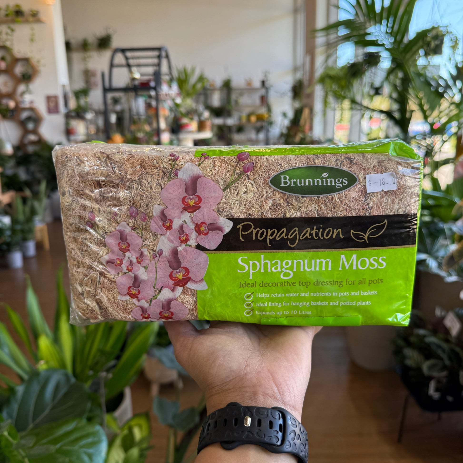 Brunnings Sphagnum Moss small pack – natural moisture-retaining moss for terrariums, orchids, and hanging baskets