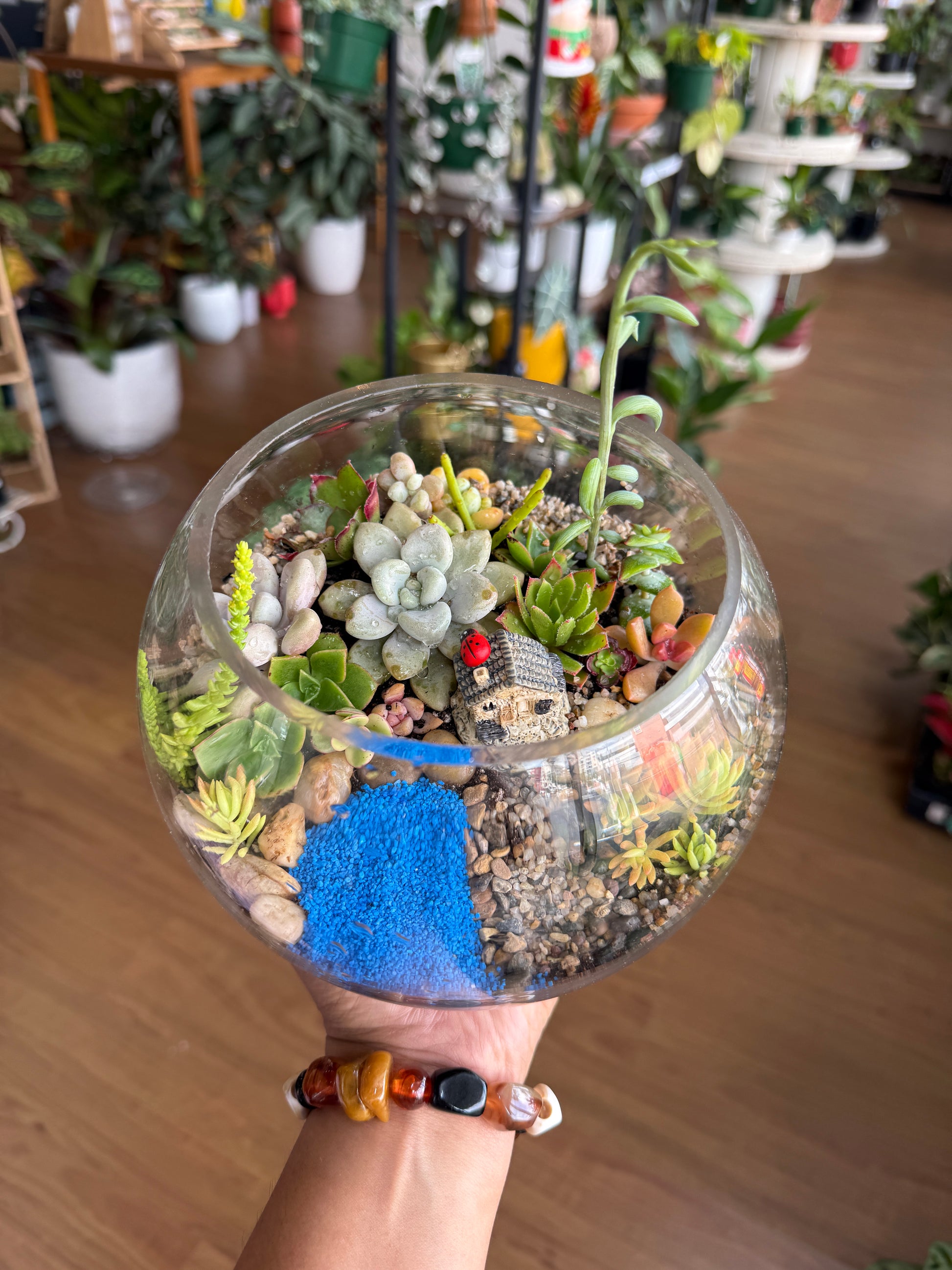 Kids School Holiday Terrarium Building and Pot Painting Class