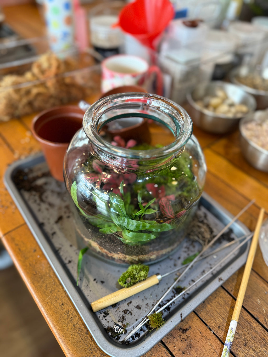 Easter 'Terrarium & Kokedama' Workshop in Sydney 🐰🦆