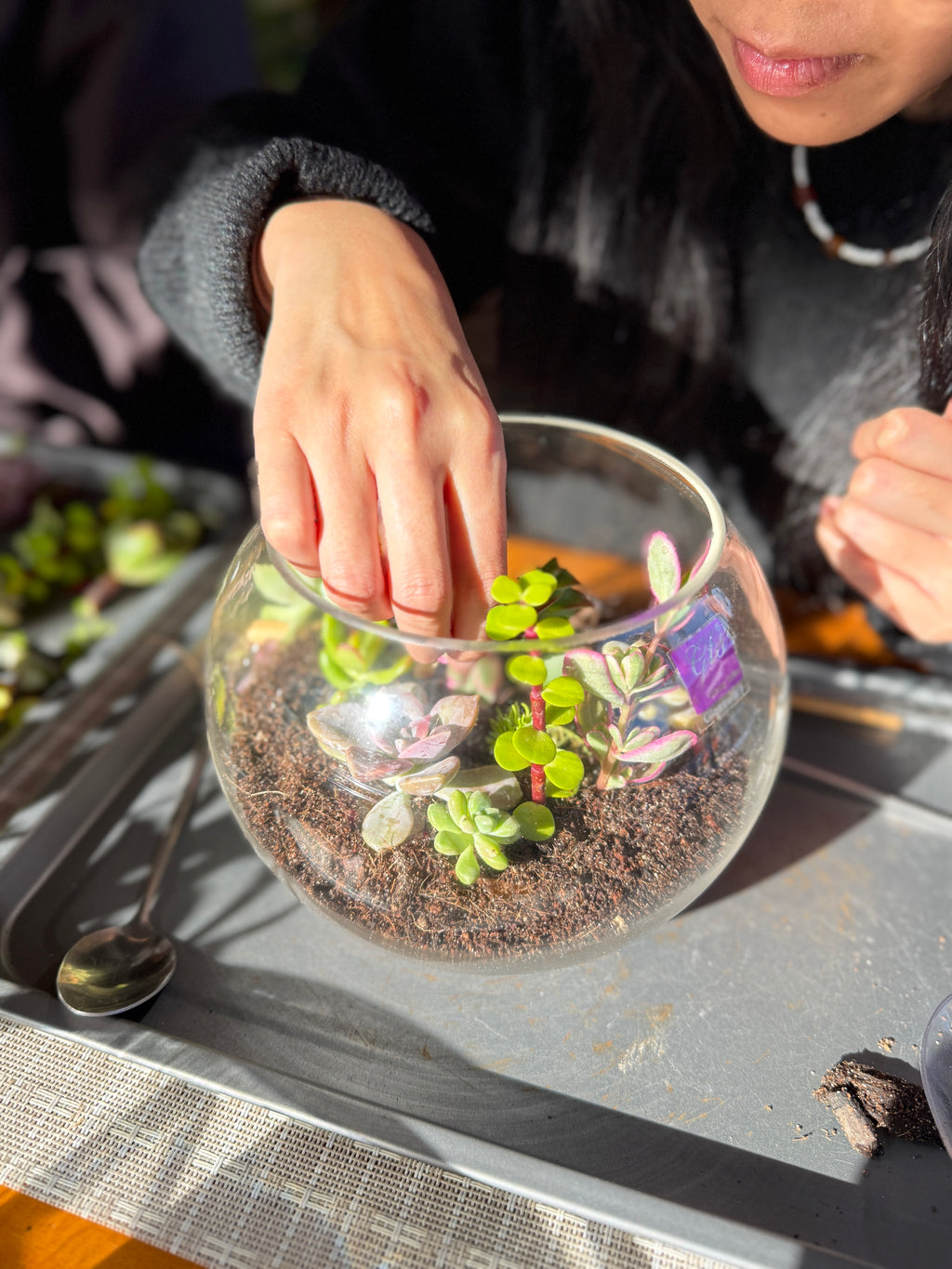 Kids Terrarium Workshop Gift Voucher