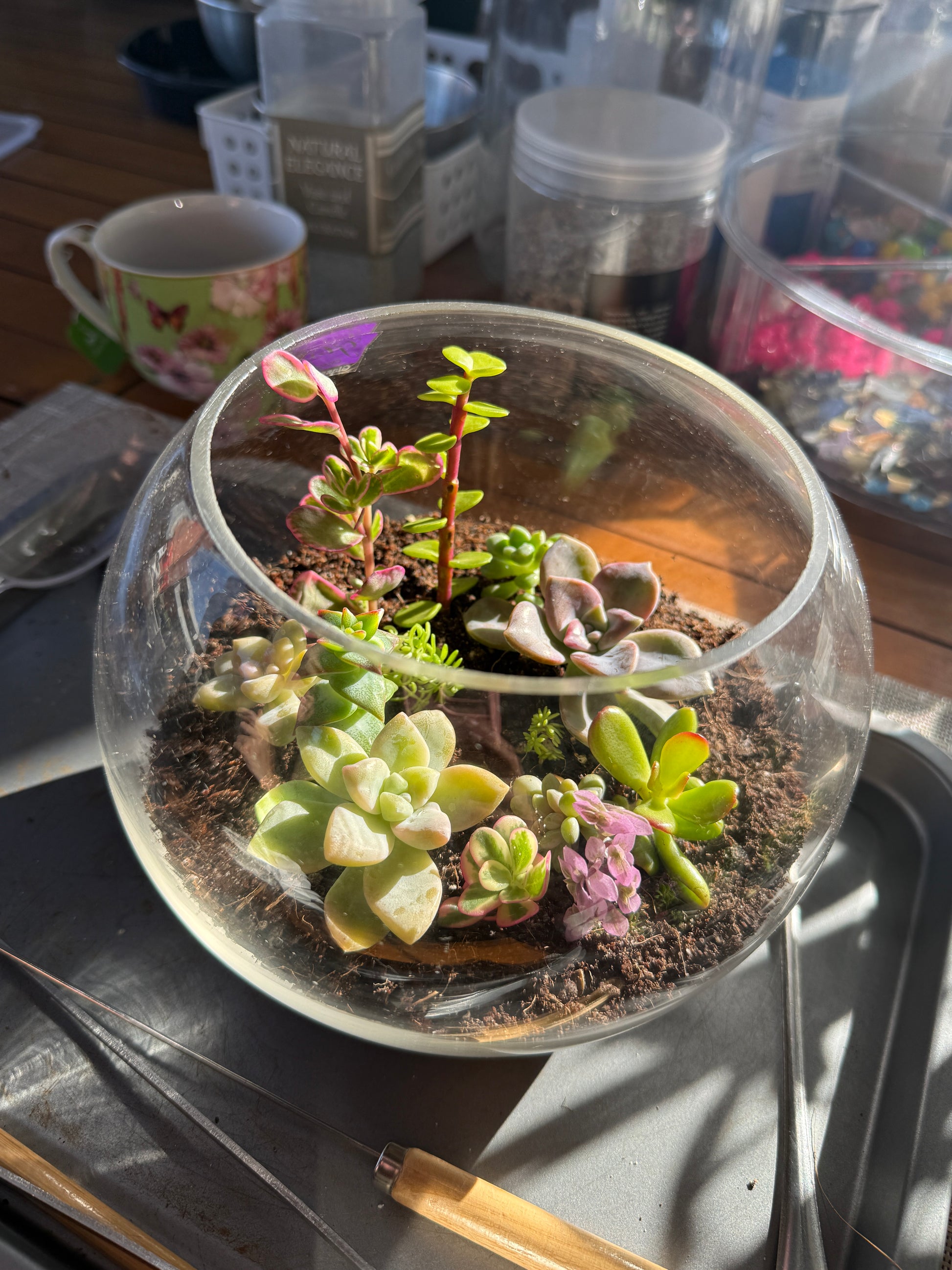 Kids School Holiday Terrarium Building and Pot Painting Class